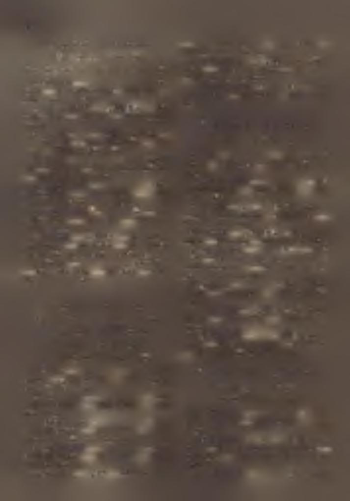 T o rn a L á s z ló. Sík: G r o h o ly J e n ő. 5. Nagyiéta I. K: vallásalap. H : 1620. Pl: M o s o ly g ó D e z s ő, kér. esperes. 6. Nagyiéta II. 1 & - K: vallásalap. H : 721. Pl: if j.