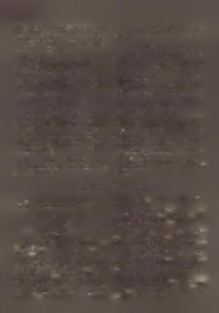 S ípos István, dr. S ző n yi Ottó, dr. Gere Gábor, B a rtin a i Ferenc. K ö z é p isk o la i liitta n á r o k v iz sg á ló b iz o ttsá g a. E ln ö k : D r. W u rster József. Rendes tagok : D r.