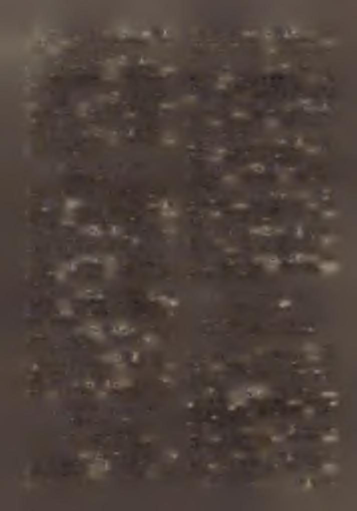 K: pécsi káptalan. H : 2480. Pl: F e je s K á r o ly. IP Németi espcrcsi kerület. (Baranya vm.) Esp. és kér. tanf.: G a s p a r ic s G y ö r g y. 1. Garé Pécs. *p: Szalánta. K : püspöki helynök.