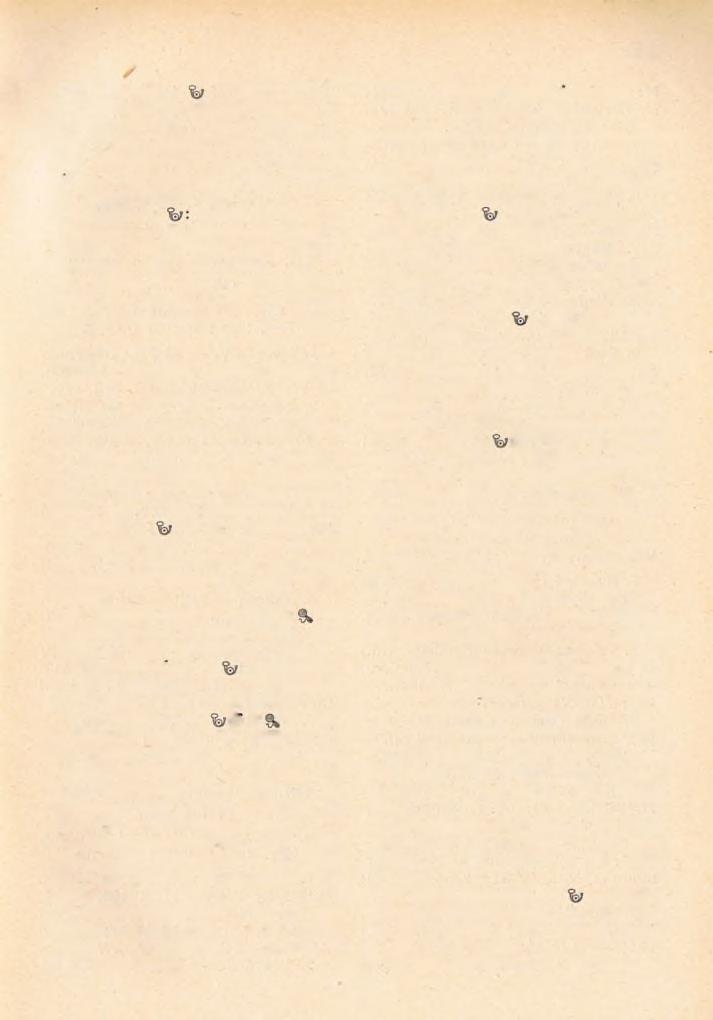 107 4. Hácpetre S é f : Á ta. K: Montenuovo Nándor herceg. H : 3477. Pl: L ie b e lt F e r e n c. - Sikk: P i n í z B á l i n t, K i t l i n g e r J ó z s e f. 5. Ráetőttös ^ öi f : Németboly.