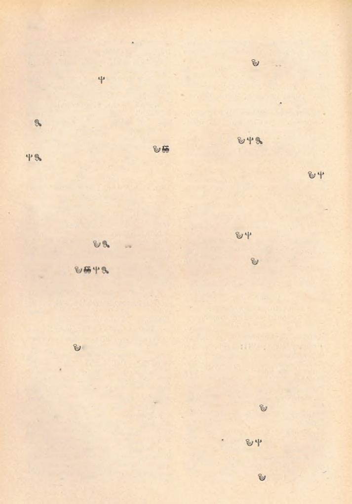 110 XVI. Dimufüldvári esperest kerület. (Tolna vm.) Esp. és kér. tani.: A m b a c h M i h á l y. 1. Itülcske % * SS: Dunafüldvár. K : pécsi pp. H : 2868. Pl: H o r v á th D é n e s.