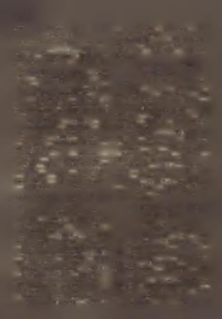 Dunaföldvár (Külváros) K : pécsi pp. H : 3906. Plh: P. F e h é r P é te r, ferencrendi. Sikk: P. Z ő d i C é z á r, P. R é z m a n n A m b ru s, ferencrendiek. 4.
