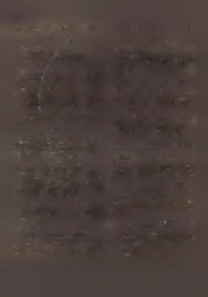 Tagok : dr. V iszota A la jo s, K ovács J á n o s, dr. B ü ttn er Ferenc, Szekfü Ignác, M ezgár L ajos, K u th y István, dr. K la u tz G yörgy, dr. P o- tyon di Im re, H á ln ék B éla.