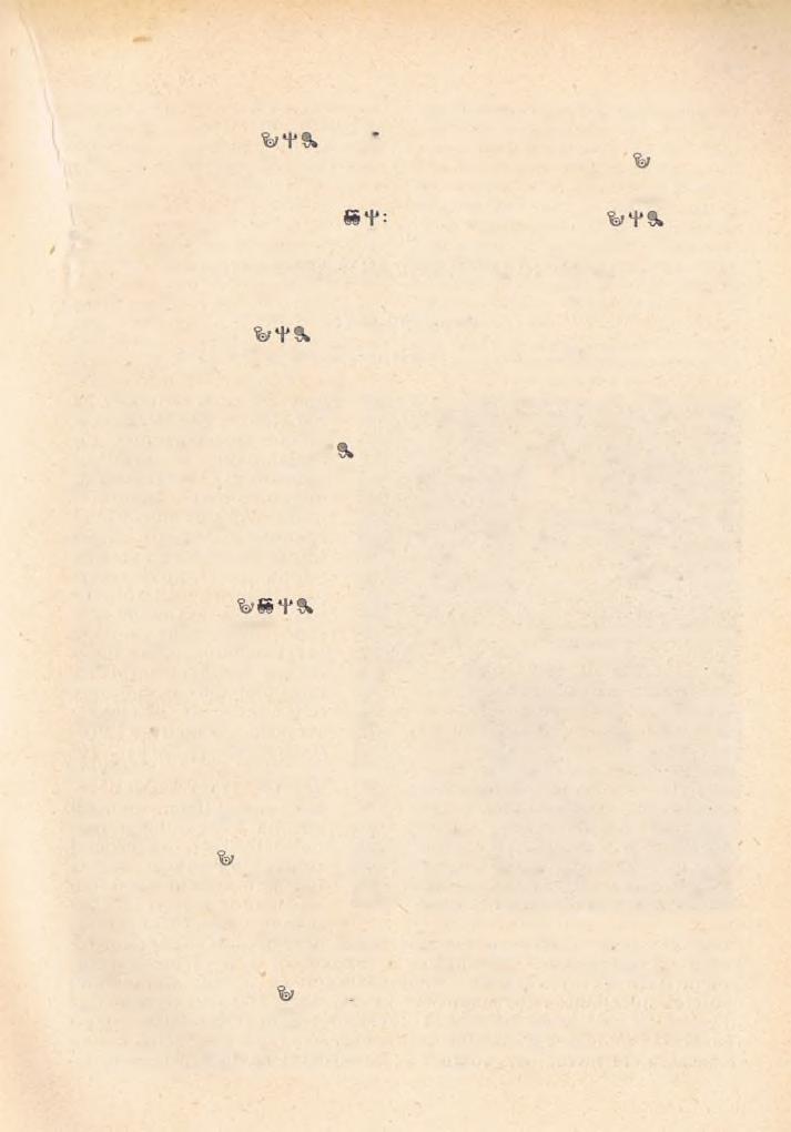 119 V ik to r, tb. esperes, a kántorvizsgálóbizottság tagja. 3. Pcsthidcgkut $9 : Solymár. K: uradalom. H: 3009. Plh: R e ih a r d t A n d r á s. Hitoktató: B iz z e r P á l. 4. IMIisborosjcnő % Üröm.