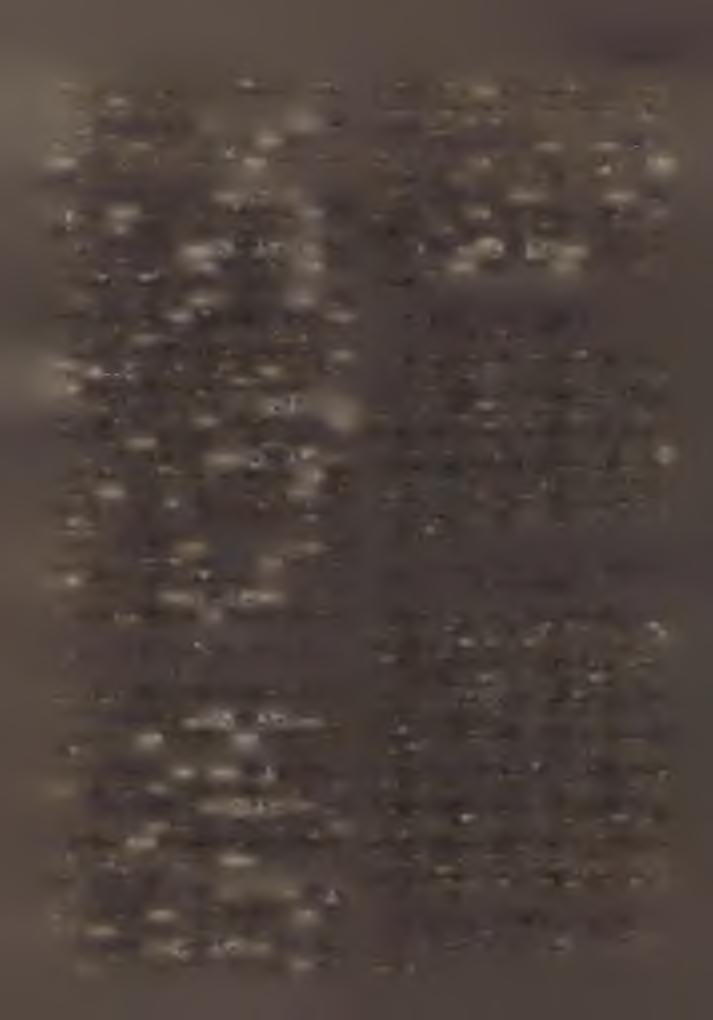 H: 1756. Plh: L a c z ó A la jo s. 7. Pilisszentiván helyi lelkészség % SS T : Pilisvörösvár. H : 2554. H elyi lelkész: K o tz ó Á r p á d. 8. Pilisszcritkereszt % *] SS: Pilisvörösvár.