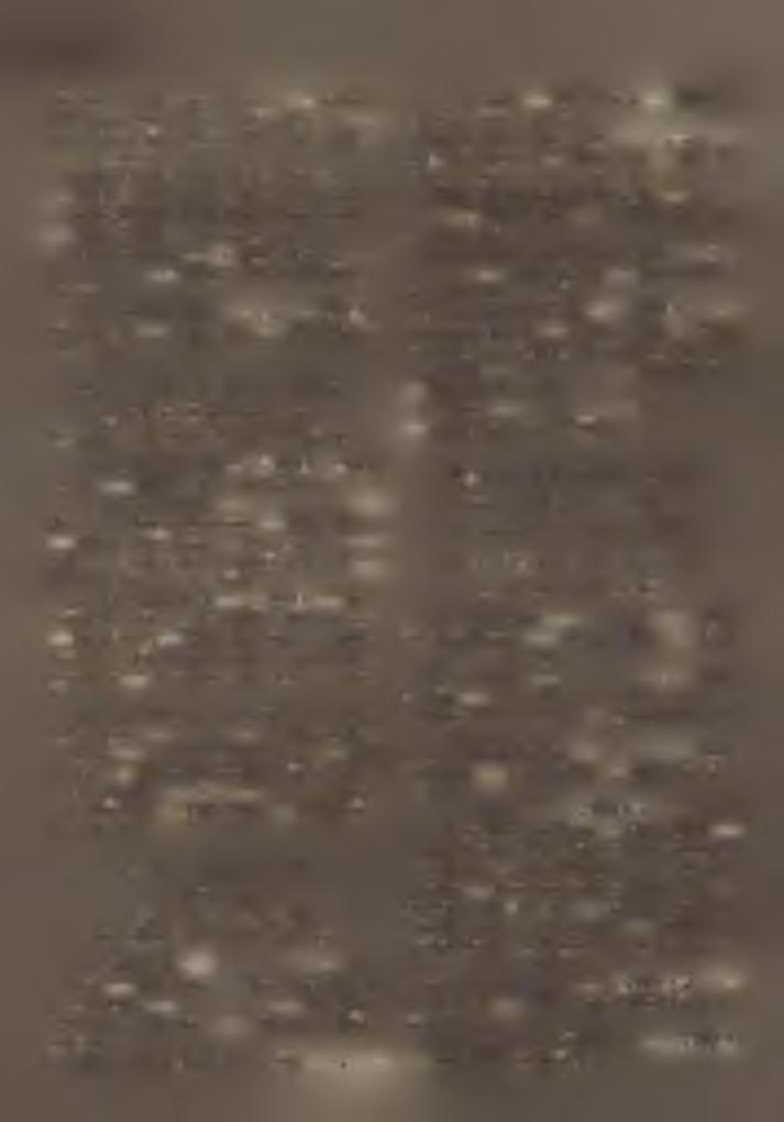 I álmonostora % $9 ^ : Szentkút. H : 4325. P l : P a y e r I s tv á n. XIX. Majsai esperes! kerület. (Pest és Csongrád vm.) Esp. : Varga M ih á ly apátplébános. 1. Jászszentlászló ^ 9 *}* H : 2883.