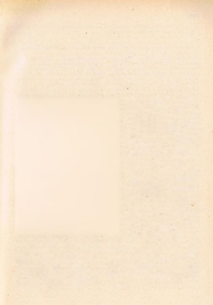 8. V e s z p r é m i p ü s p ö k i e g y h á z m e g y e. M e g y ésp ü sp ö k : R Ó T T N Á N D O R d r. a királyné kancellárja. Született 1869 december hó 23-án, Bodenstadtban.
