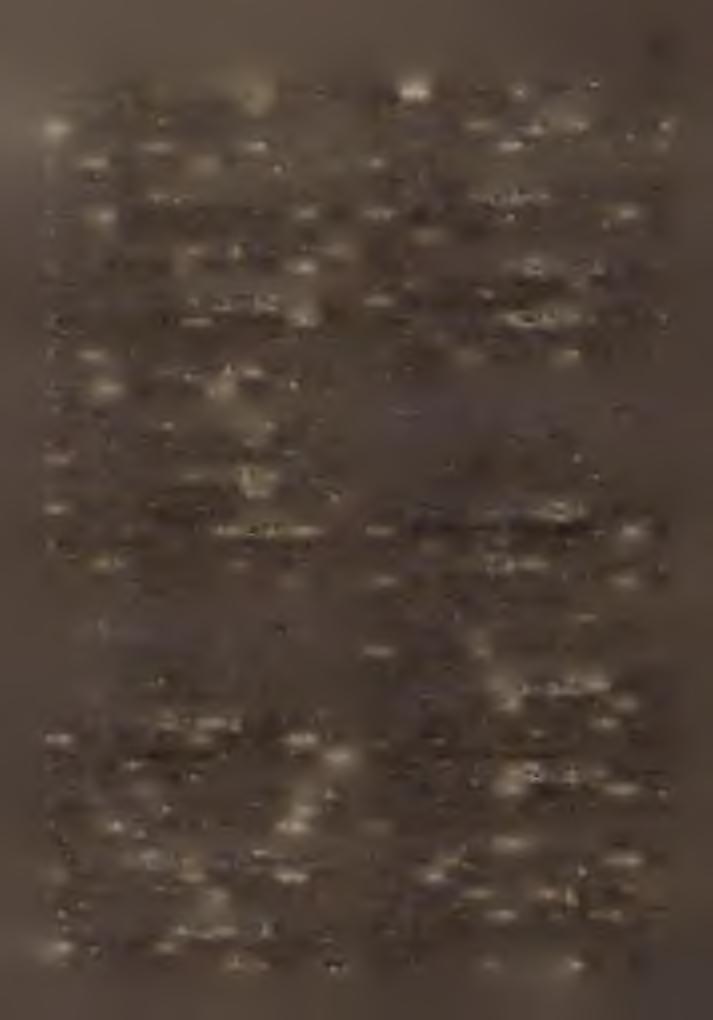 Pl: K o m m a n n d in g e r V ilm o s c. apát, kiérd, esp. - Sík: K o lb E d e. 7. Osztopán? y SS j* K : vallásalap. H : 3694. Plh: V in n i s s Fülöp. 8. Öreglak K : gróf Jankovich-Bésán Endre.
