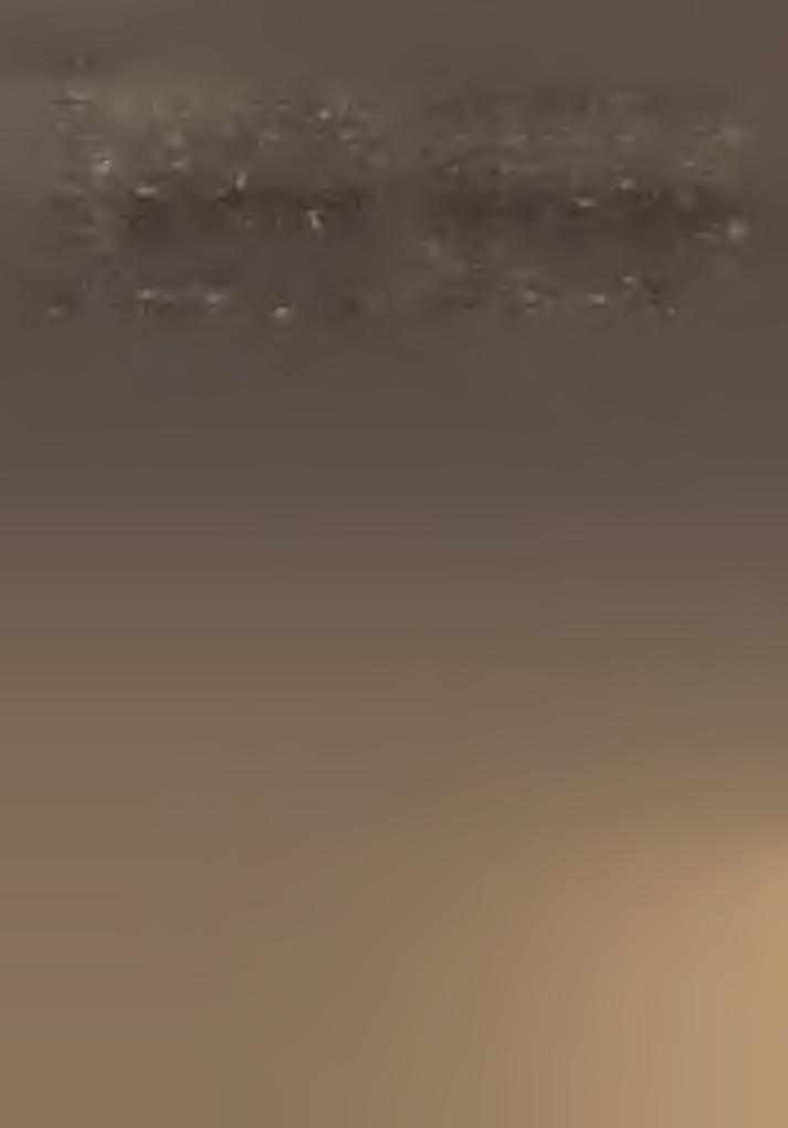 ), U d v a r d y F e r e n c (Veszprém), H o r v á th J ó z s e f (Badacsony, Zalam.), B o ó r A n t a l (Miklósi, Somogym.). Egyházmegyei papi nyugdíjintézet.