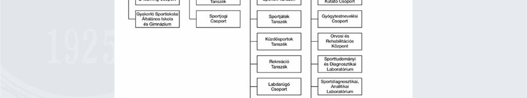 Biomechanikai + Mobil Orvosi és