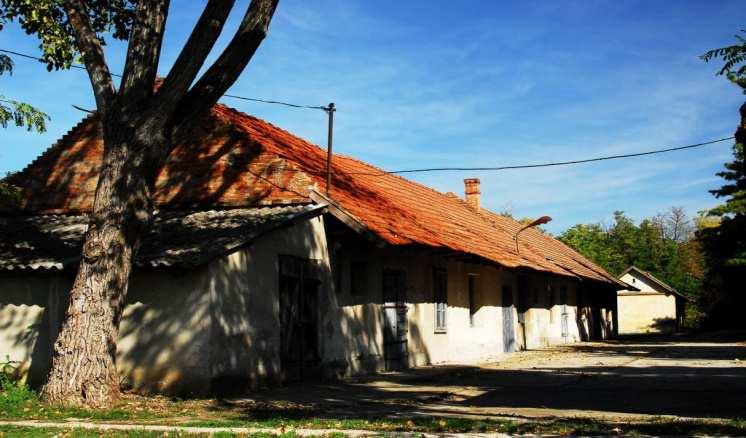 szempontjából viszont változatos képet mutatnak. Jelentősebb számban találunk a II.