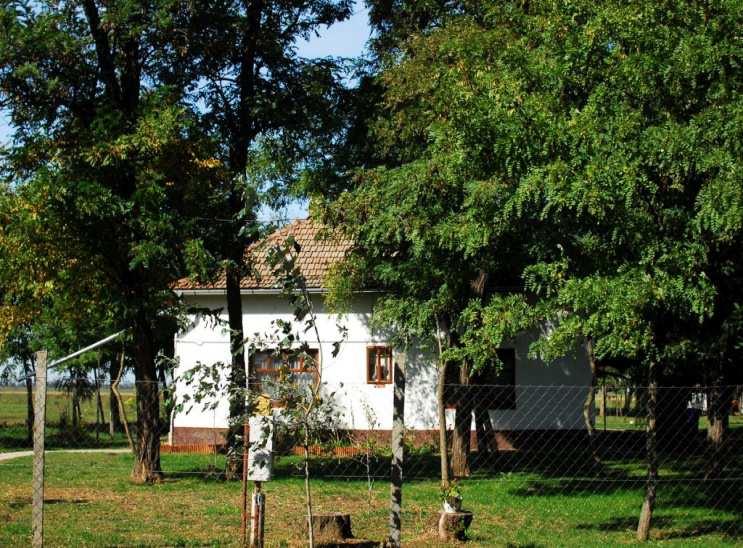 Építészeti útmutató 28 HOMLOKZATKÉPZÉS