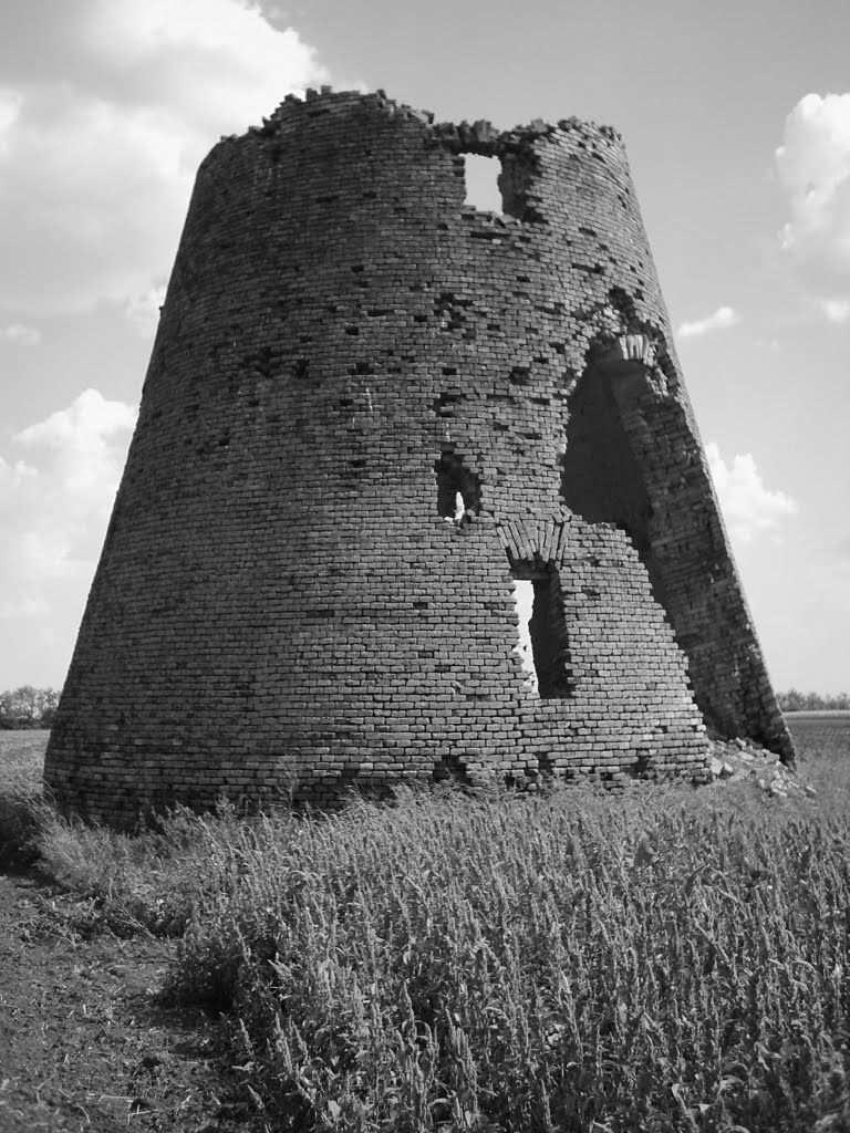 törzsszámon.