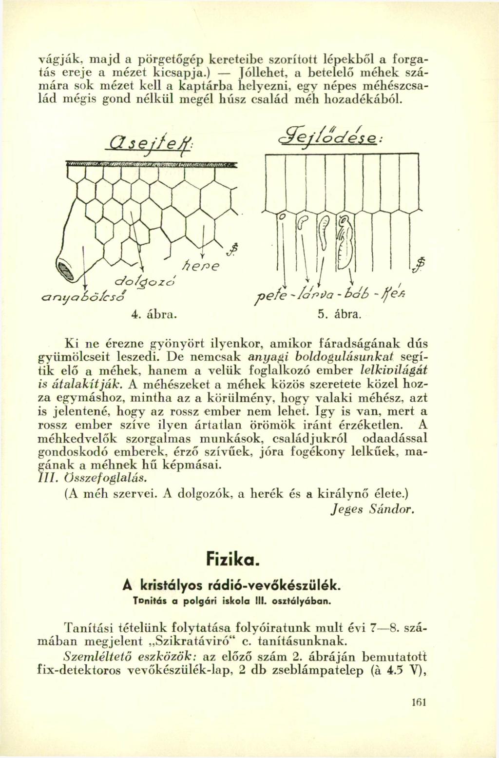 vágják, majd a pörgetőgép kereteibe szorított lépekből a forgatás ereje a mézet kicsapja.