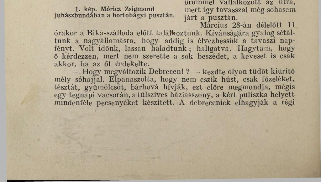 3. fejezet. A múzeumi tisztviselők tudományos munkája 1942-ben. Gyűjtés, kutatás, megfigyelés, ásatás.