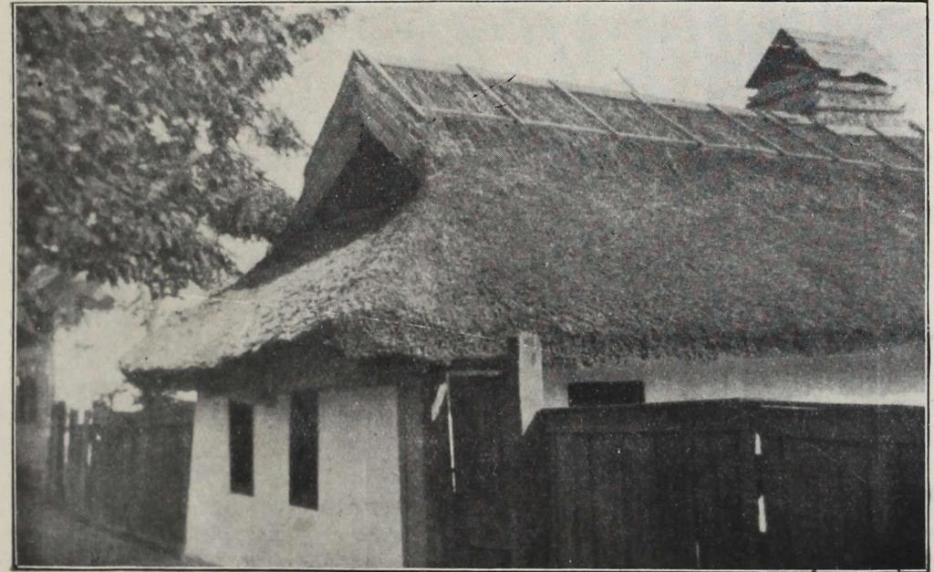 Tiszapolgáron, homlokán egészen