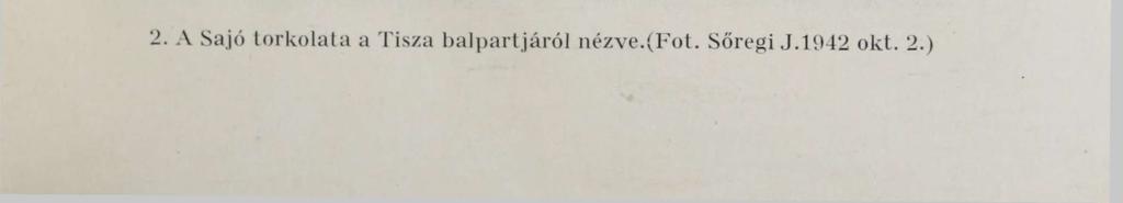 IX. tábla. 1.