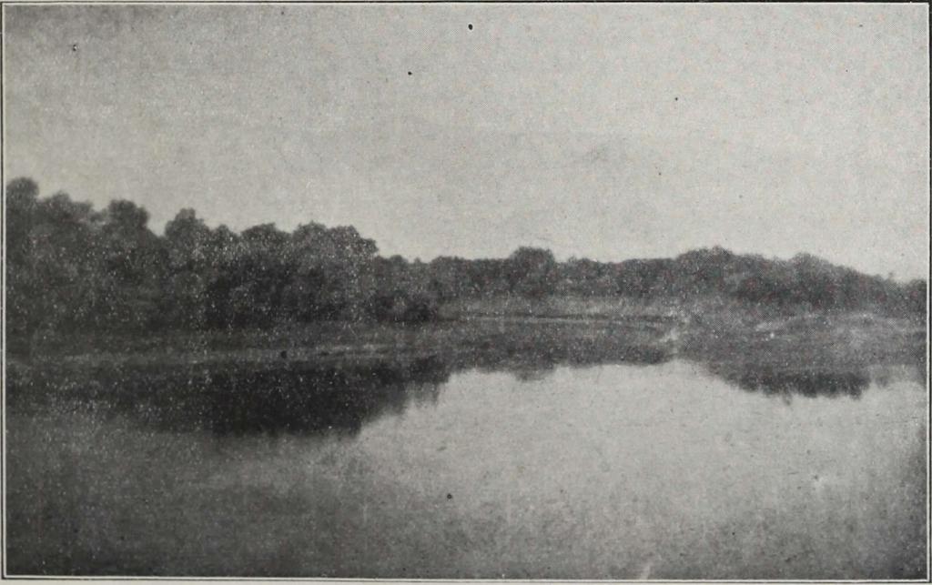 torkolata a