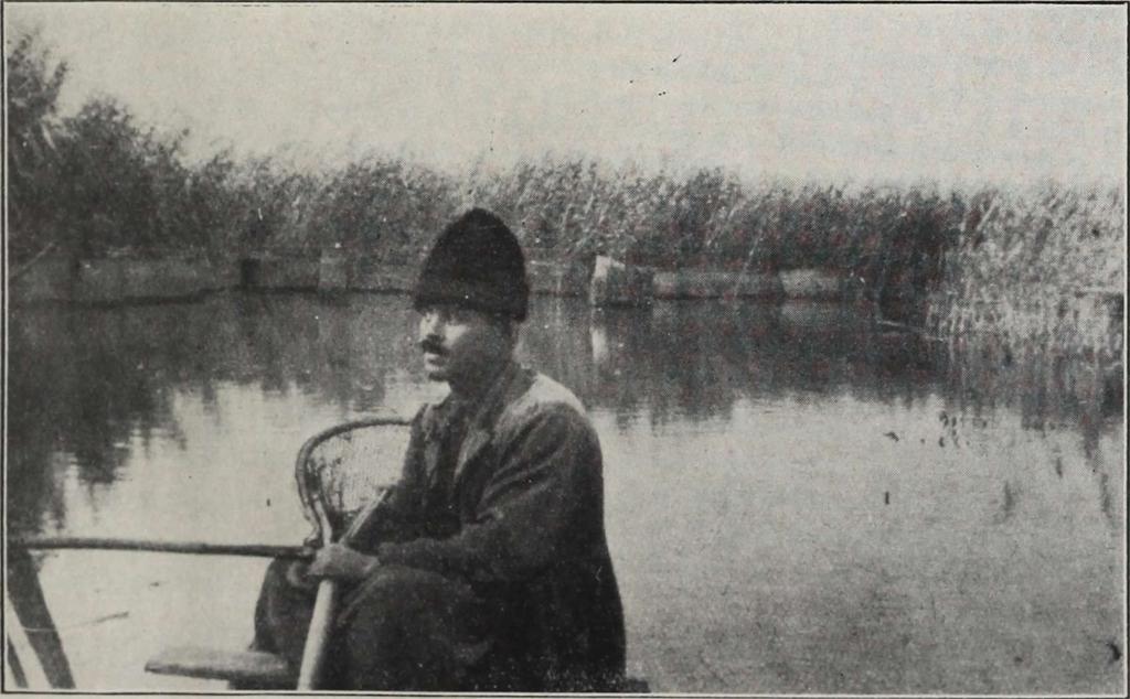 Kezében merettyű (szák),