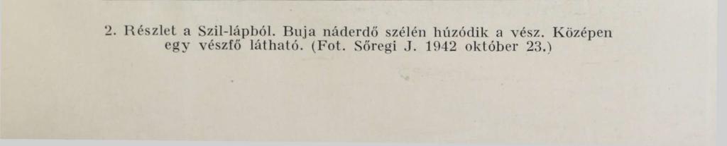 XII. tábla. 2.