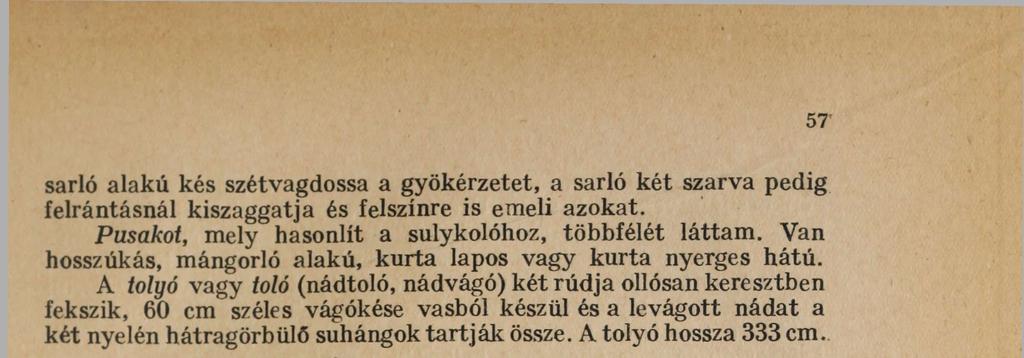 Érsemjén felé haladva, a dombháton túl, a Szunyogh-tanya után megnéztem azt a nagy dombot, melyen a hagyomány szerint egykor Érkeserű falu feküdt és ahonnan a lápok közé menekült.