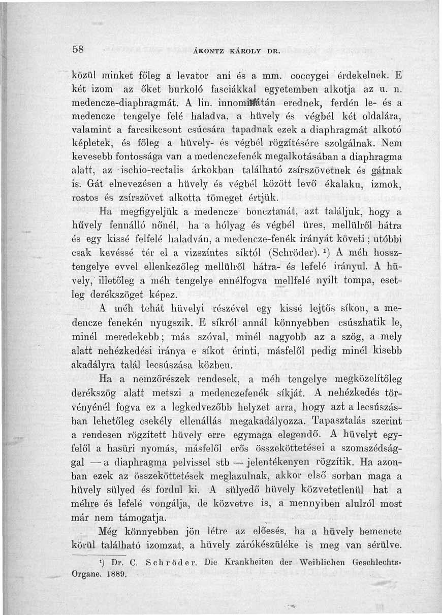 58 AKONTZ KÁROLY DR. közül minket fó'leg a levator ani és a mm. coccygei érdekelnek. E két izom az őket burkoló fasciákkal egyetemben alkotja az u. n. medencze-diaphragmát. A lin.