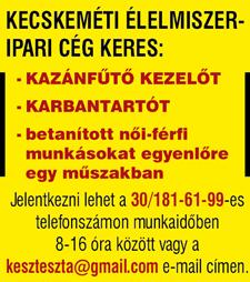 Hölgyek, férfiak számára is! Nem megterhelő, ülve is végezhető! 3 nap munka, 3 nap pihenő. Fizetés havi nettó 120-160 ezer Ft! 100% bérlettérítés és ingyenes buszjáratok a térségből.