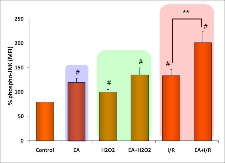 without any statistically significant difference. ANOVA failed to evaluate significant differences between groups.