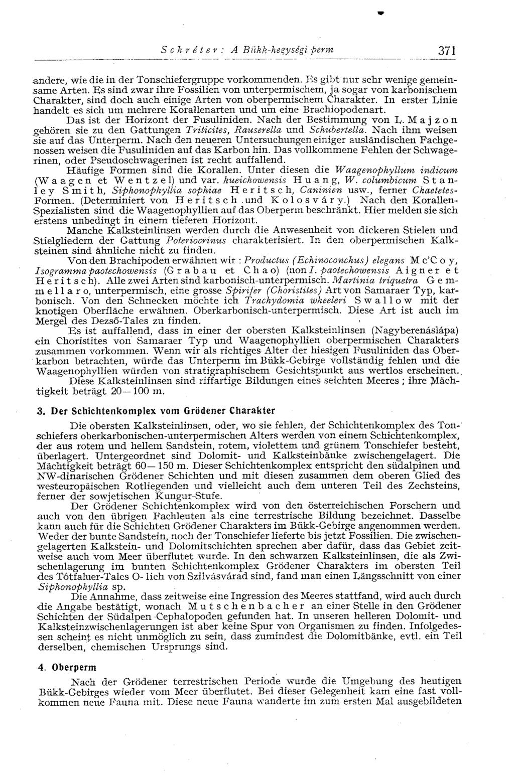 S с h r é t e r : A Bilkk-hegységi perm 371 andere, wie die in der Tonschiefergruppe vorkommenden. Es gibt nur sehr wenige gemeinsame Arten.