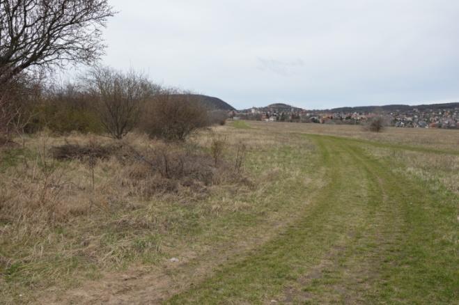 Megnevezés: szántó járási mintatér Terület mérete: 5399 m 2 Tulajdonos: magánszemélyek (7 fő)