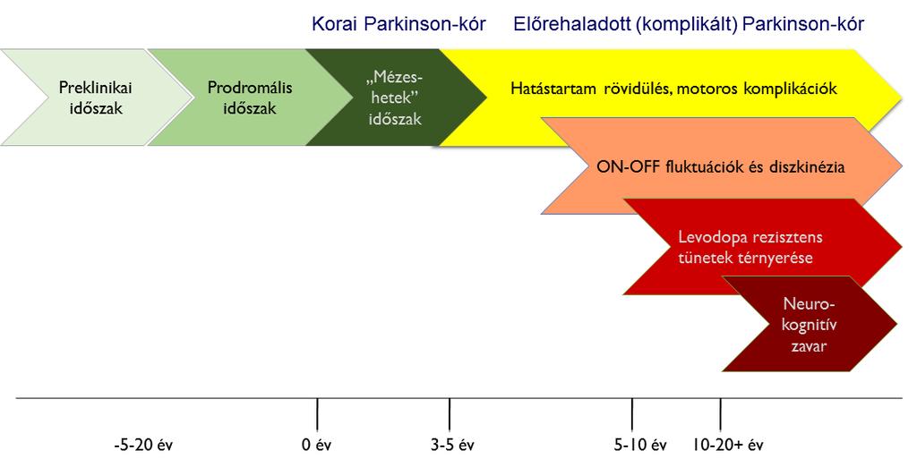 3.1. ábra. A Parkinson-kór főbb stádiumai 3.1.2.