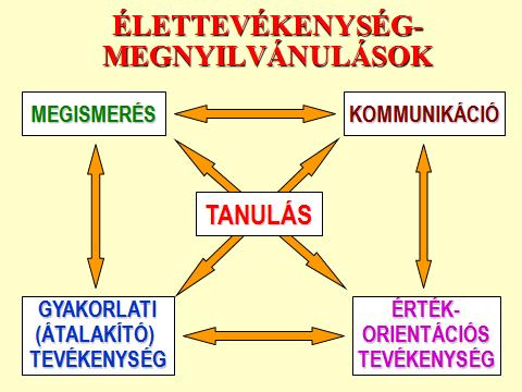 Az oktatás történetében először léphettük át saját pedagógiai időkorlátainkat. Nem sejtettük, hogy a kialakuló globális faluban új szereposztás készülődik.