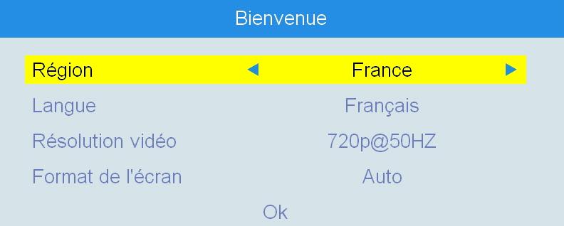 Mode d emploi 2. Raccordement de votre adaptateur 2.1 Raccordement au téléviseur, magnétoscope et chaîne hifi Raccorder l adaptateur aux autres appareils avant d effectuer le branchement secteur.