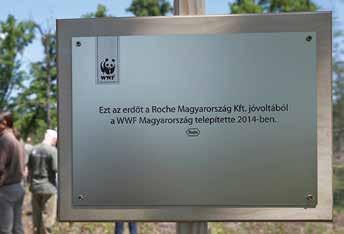 A Roche felelős vállalatként Magyarországon és világszerte is kiemelt figyelmet fordít a környezeti terhelések, köztük az