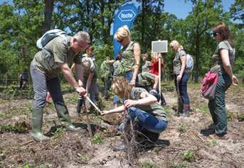 In 2014, one acre of hardwood forest, approximately 10,000 saplings were planted in the Duna-Dráva National Park.