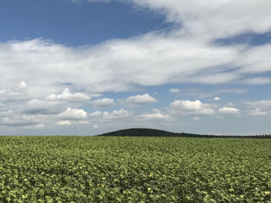 Az erdők közül kiemelkedik a helyiek által Segg-dombnak nevezett