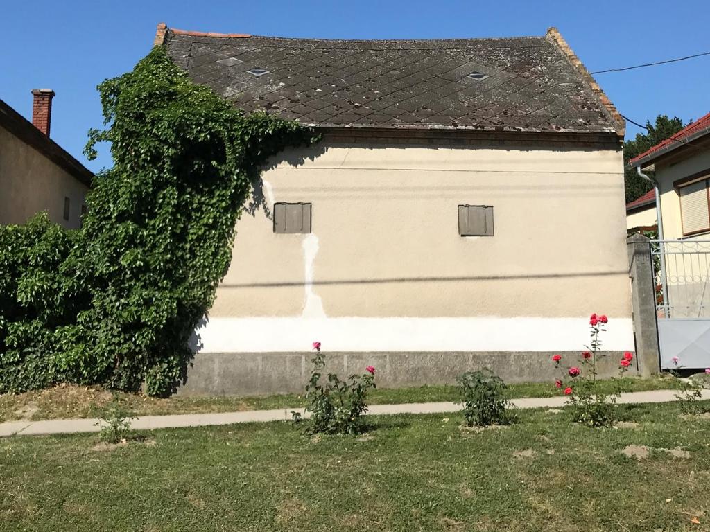 C) EGYÉB MŰSZAKI BERENDEZÉSEK A társasági adóról és az osztalékadóról szóló 1996. évi LXXXI.