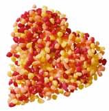 Sárgabarackíz 5/1 nettó tömeg: 5 250 g 1 699