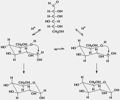 A glükózmolekula