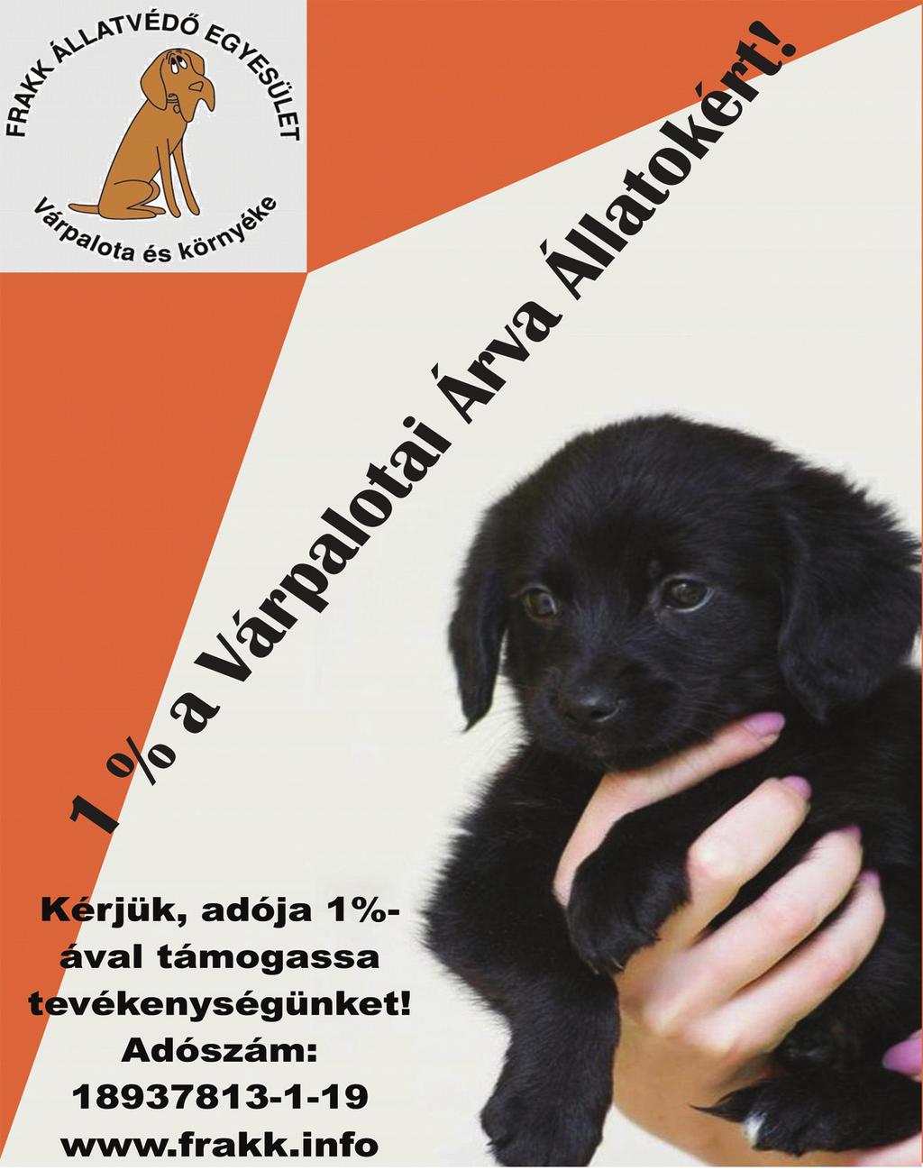 Szén társkereső kövületek