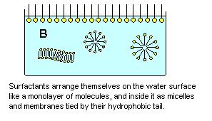 Felületaktív anyag (szappan, mosószer, tenzid) Asszociációs kolloidok Amfifil molekulák A