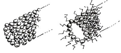 Folyadék kristályokban kialakuló (hexagonális és bikontinus)