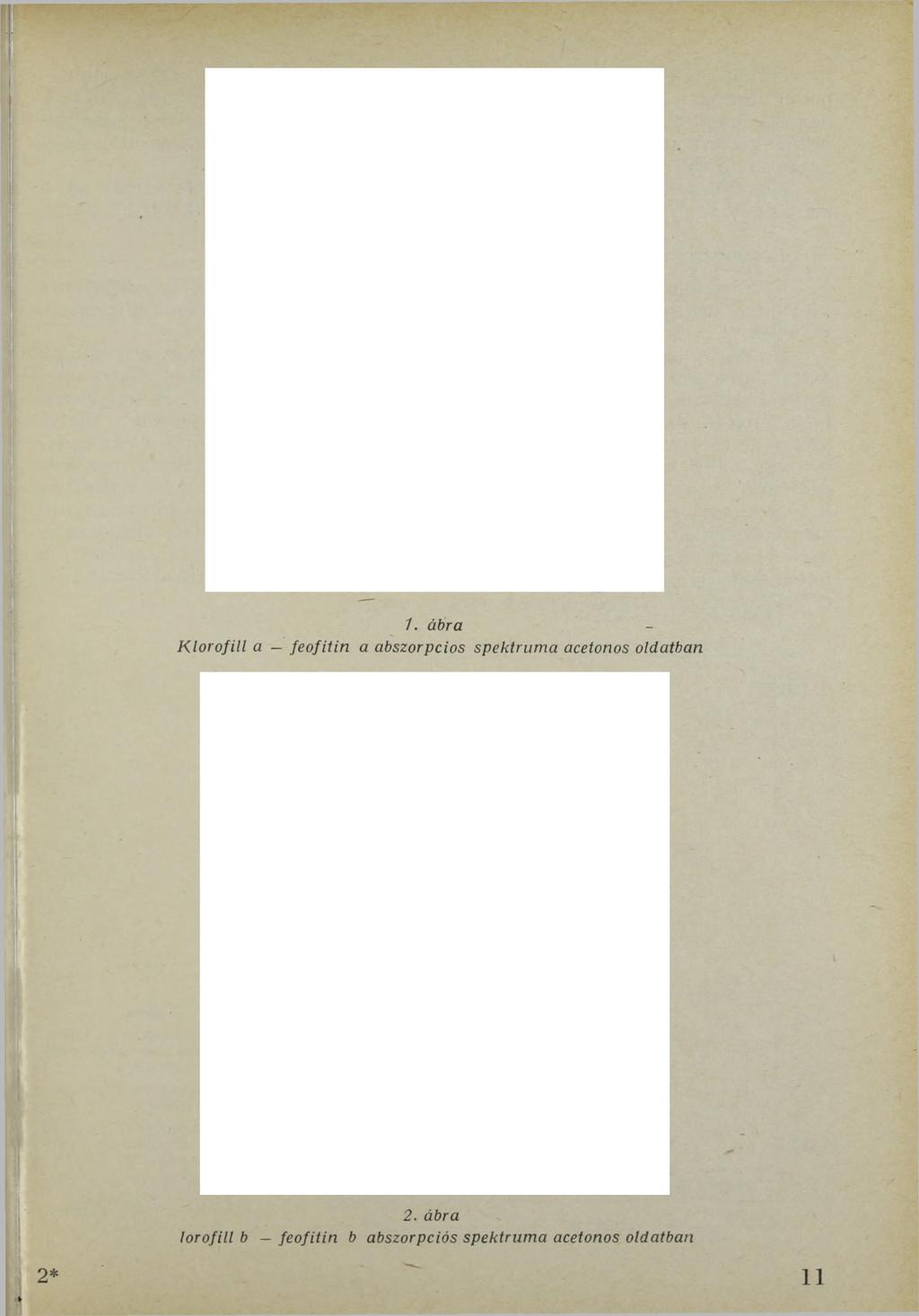 1. ábra Klorofill a