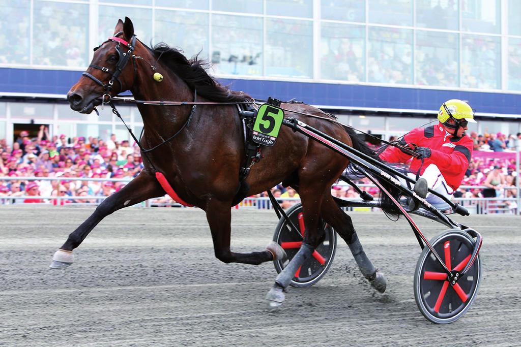 ÜGETŐ 10 Velence R. 1900 m Juhász Balázs (168,20-55) (Fehér, kék váll, kék mandzsetta) 3 pk Exploit Caf - Filigrán / Witsend's Speedy Juhász Balázs Istálló: M. i. 19.4 19.4-424000 Ft Élet stat.