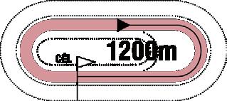 GALOPP 200.000 Ft jackpot Tétre 2017.11.19 VII. FUTAM 14:30 (283) Pálya: 11 - Kincsem Park A futam neve: HAVANNA HENDIKEP (II.o.) (szintetikus pálya) Összdíjazás: 700000 Ft (350000, 140000, 105000, 70000, 35000) Egyéb információ: Szabad felállítású hendikep 1 Salsa 62.