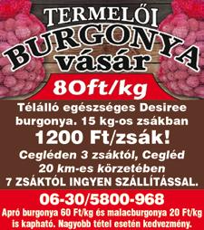 szám alatt 4 szoba, összkomfortos családi ház eladó. 06-31/317-99-57 57 nm-es 2,5 szobás gázfűtéses lakás eladó. II. emelet. Telefon: 06-30/2306-306 CEGLÉDEN 81 nm 3 szobás 1 emeleti lakás eladó 15.