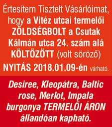 eladó 8.9 MFt 06-20/555-14-34 CEGLÉDEN, Wesselényi utca végén, 800 nm-es telken, 120 nm-es 3 szoba +nappalis tégla ház eladó 13.3 mft.