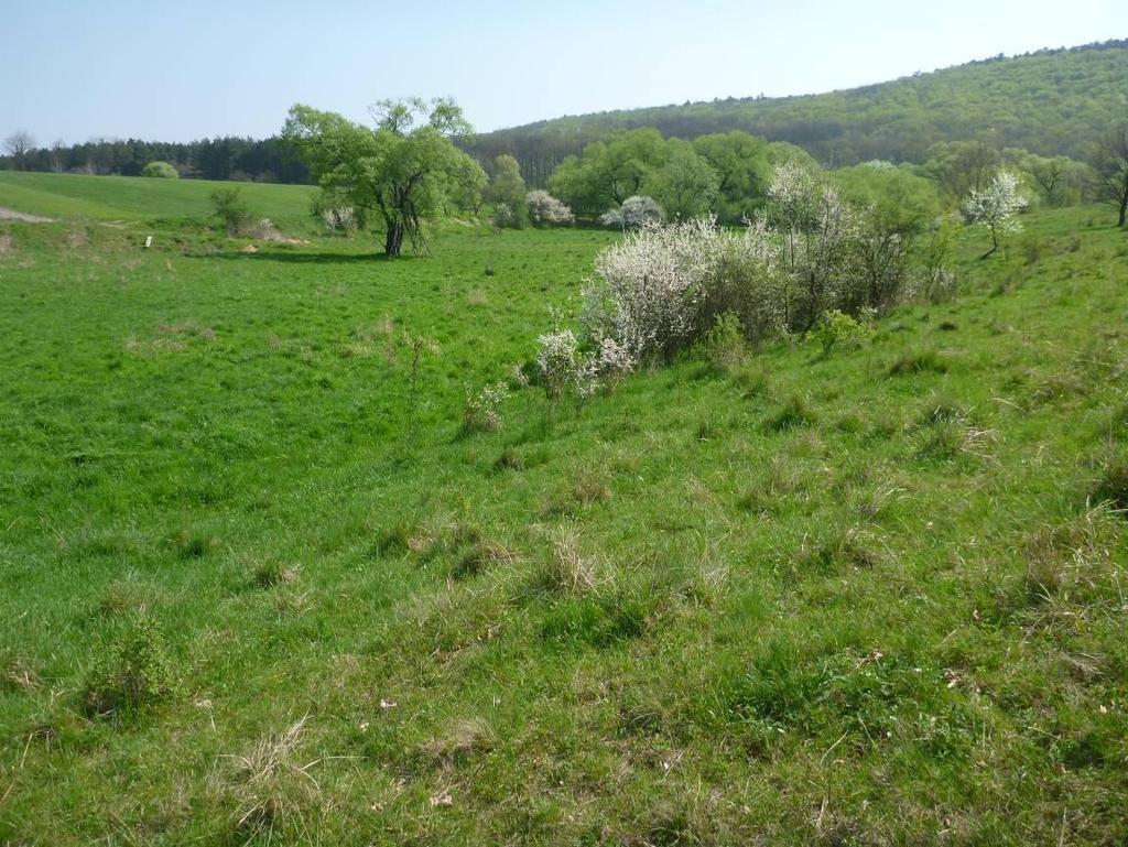 A Kisgyőri