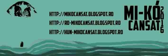int/education/cansat/meet_the_team_bolyai http://mikocansat.blogspot.hu/ www.