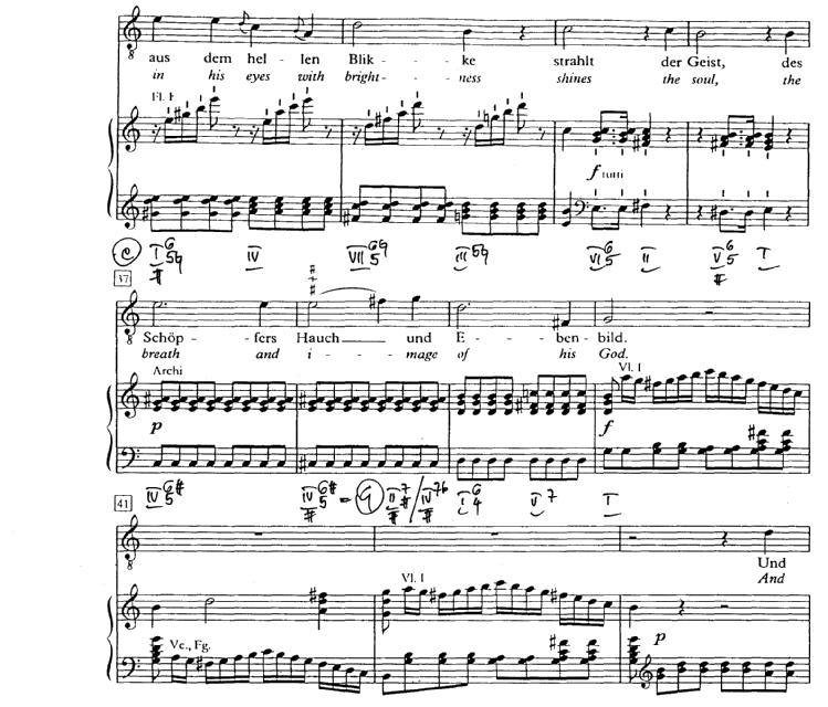 [41] Haydn: